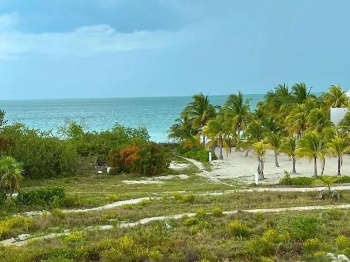 Holbox Te Quiero Luxury Suites 外观 照片